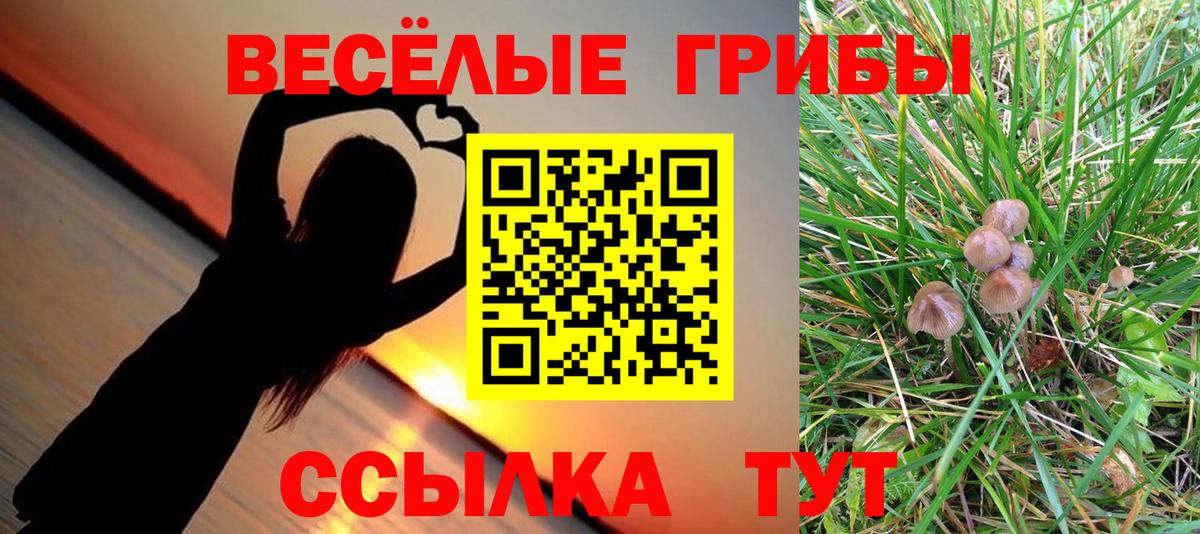 Когалым  где купить наркоту  Вход с VPN  Галлюциногенные грибы мицелий 